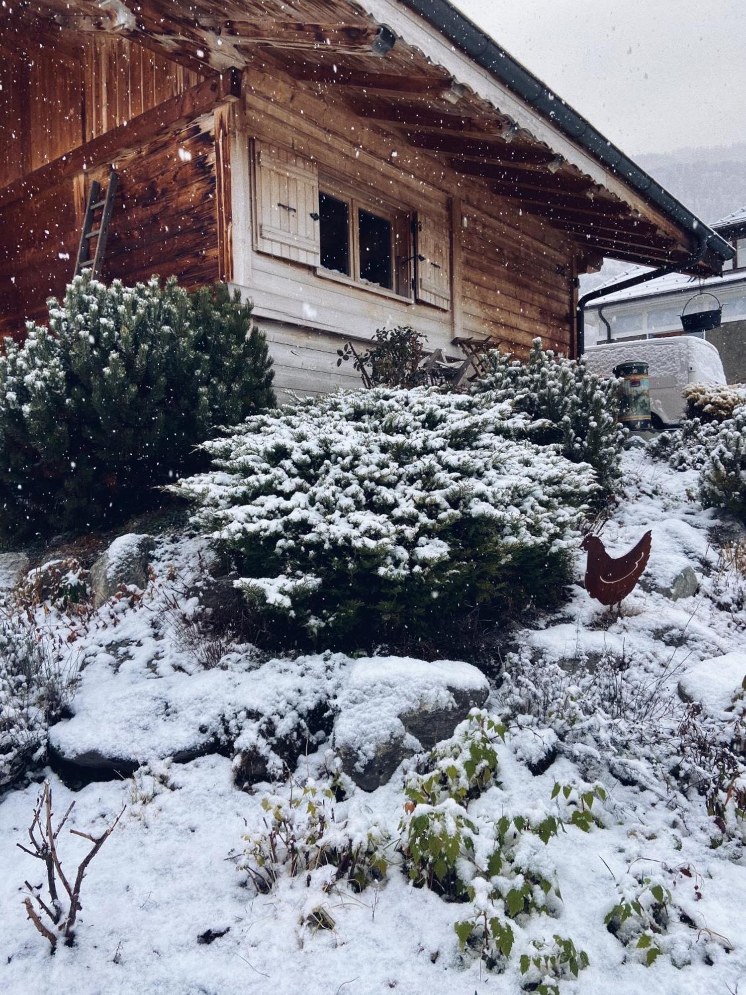 Grand Chalet A La Montagne Bourg-Saint-Maurice Bagian luar foto